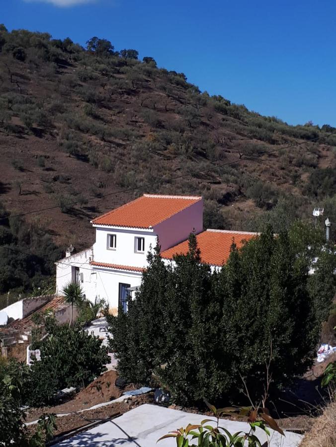 Casa Aguila 2.0 Bed and Breakfast Los Valverde Eksteriør billede